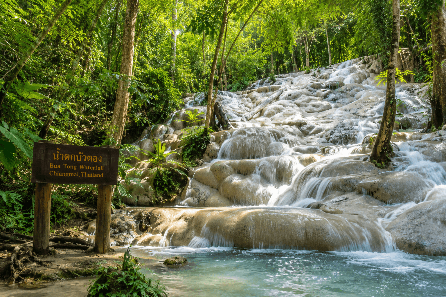 Bua Tong Sticky Waterfall